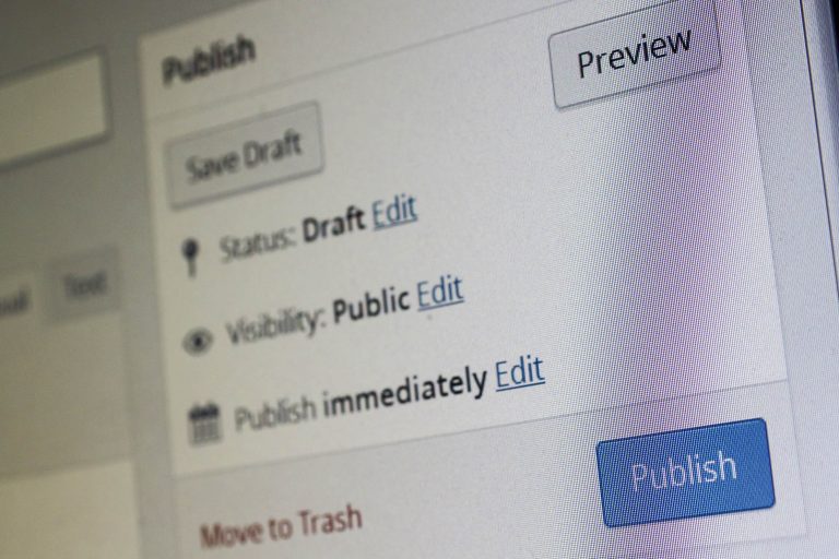 wordpress publishing options screen 1